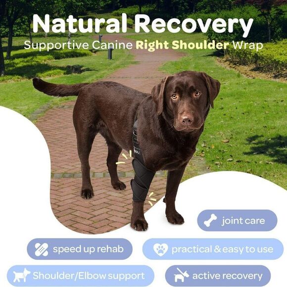 Labra Dog Canine K9 Shoulder Elbow Callus Pain Relief Brace Wrap Sz M Right Leg - Picture 8 of 8